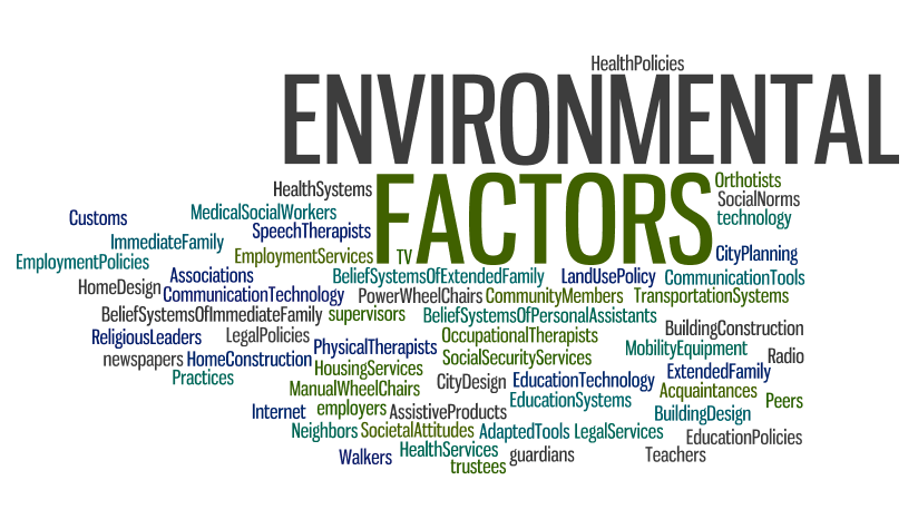 Exploring the ICF-CY: What are Environmental&nbsp;Factors?