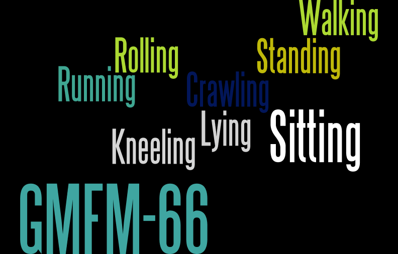 How to Use the Gross Motor Function Measure&nbsp;(GMFM-66)