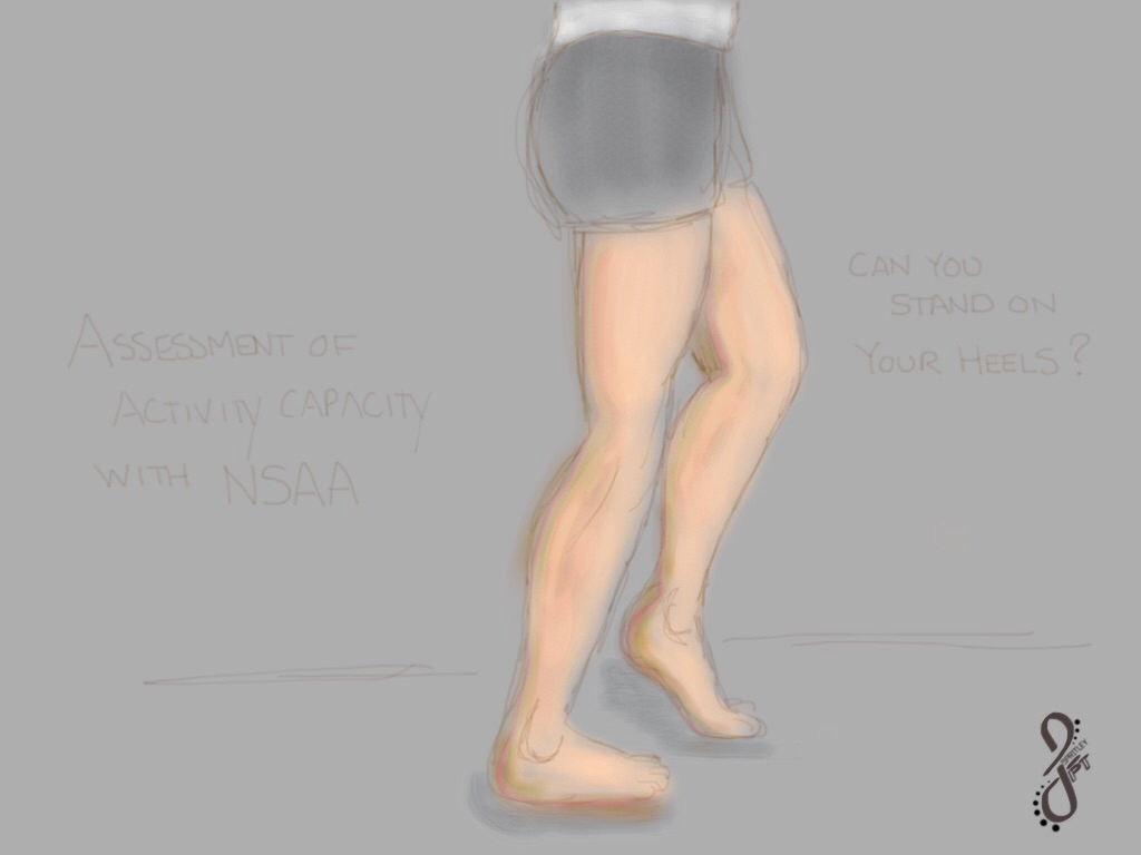 Tests, Measures, & Classification Systems for&nbsp;Activity